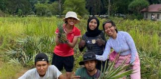 Giới trẻ Đông Nam Á trở lại với ruộng đồng, tìm tương lai từ nông nghiệp