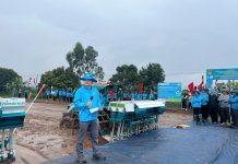 Lúa phát thải thấp: Đồng bằng sông Hồng vào guồng chuyển đổi xanh