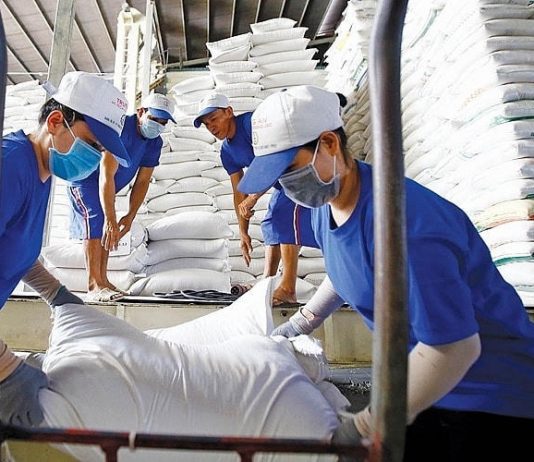 Tái cấu trúc để gạo Việt cất cánh trong năm 2026