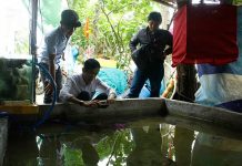 Làm giàu khác người: Phất lên nhờ nuôi cá cảnh nước mặn