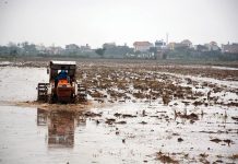 Thêm hơn 6% diện tích có nước để gieo cấy vụ Đông Xuân