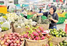 Vận hội mới cho “nông dân chuyên nghiệp”