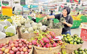 Vận hội mới cho “nông dân chuyên nghiệp”