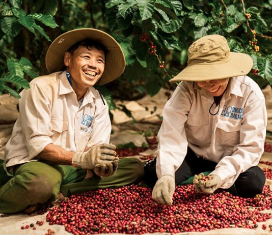 Xuất khẩu cà phê lập kỷ lục