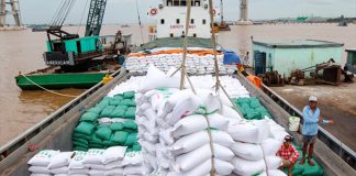 Nâng tỷ trọng gạo thơm trong xuất khẩu năm 2026