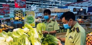 TP HCM: Tạo không gian xanh từ hỗ trợ doanh nghiệp khởi nghiệp nông nghiệp xanh