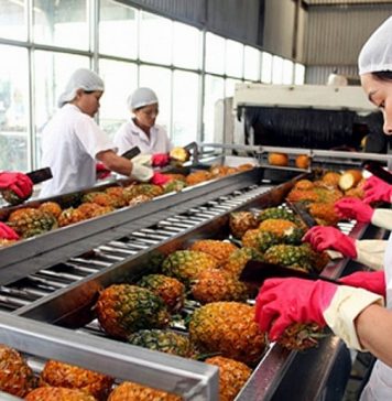 Phát triển sản xuất, chế biến nông sản gắn với an toàn thực phẩm