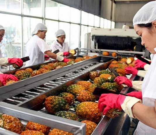 Phát triển sản xuất, chế biến nông sản gắn với an toàn thực phẩm