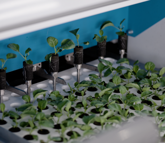 Singapore vận hành trang trại thẳng đứng cao nhất thế giới, ứng dụng AI và robot