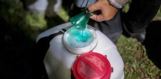 Giá thuốc bảo vệ thực vật tại Indonesia có thể tăng tới 30% do xung đột Trung Đông