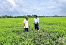 5 giải pháp giúp nông dân nâng cao hiệu quả sản xuất trong bối cảnh chi phí gia tăng