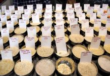 Cước vận tải “ghìm chân” xuất khẩu gạo châu Á