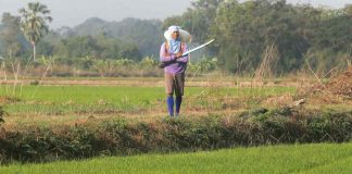 Đông Nam Á đối mặt nguy cơ thiếu phân bón khi giá tăng mạnh do xung đột Iran