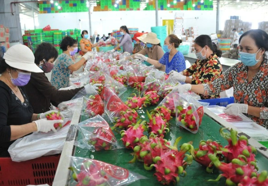 EU có thể sẽ “siết” chanh leo và thanh long của Việt Nam