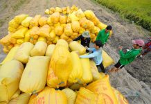 Đề xuất thu mua lúa gạo bổ sung dự trữ quốc gia