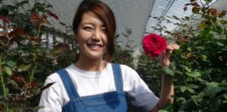 Làm giàu từ hoa hồng organic