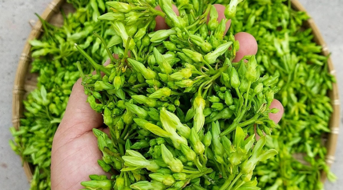 Trồng hoa thơm làm rau bán cháy hàng, nông dân bỏ túi 1 triệu/ngày