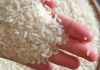Việt Nam đề nghị EU sửa đổi danh mục gạo thơm ưu đãi thuế