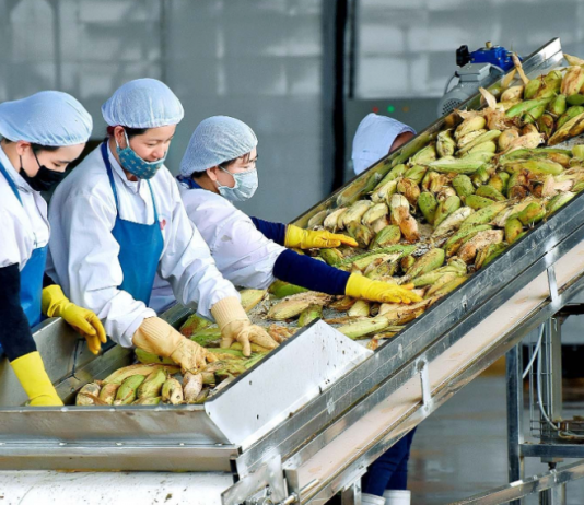 Xuất khẩu nông sản Việt ảnh hưởng lớn từ xung đột Trung Đông