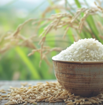 Giá lúa gạo đồng loạt tăng