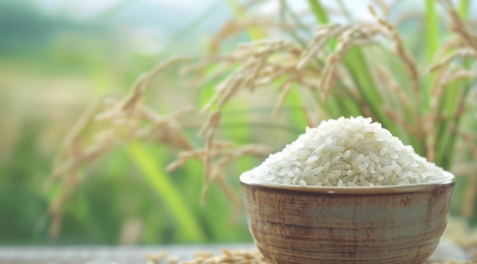 Giá lúa gạo đồng loạt tăng