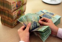 Vốn xanh bao giờ “chảy” tới doanh nghiệp nông nghiệp