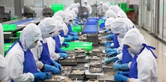 Thủy sản Việt xoay trục khi Mỹ siết chuẩn