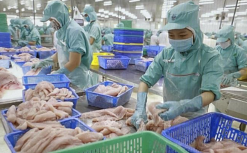 Tận dụng thời cơ, vượt qua thách thức tiếp tục phát triển nhanh và bền vững đất nước