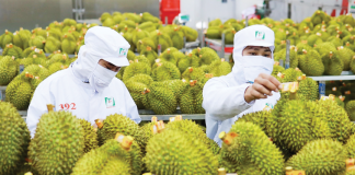 Gỡ “nút thắt” trong kiểm nghiệm để thúc đẩy xuất khẩu sầu riêng và nông sản
