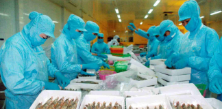 132 doanh nghiệp Việt xuất khẩu tôm vào Hoa Kỳ chịu mức thuế 25,76%