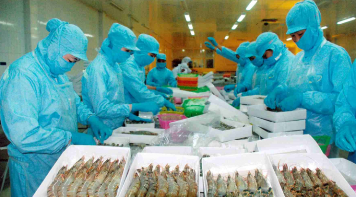 132 doanh nghiệp Việt xuất khẩu tôm vào Hoa Kỳ chịu mức thuế 25,76%