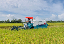 Động lực mới để nâng sức cạnh tranh cho nông sản Việt