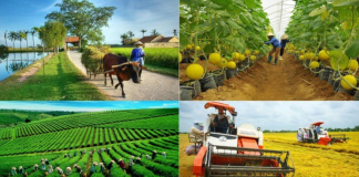Phấn đấu hỗ trợ 25.000 doanh nghiệp, hộ kinh doanh, hợp tác xã kinh doanh bền vững