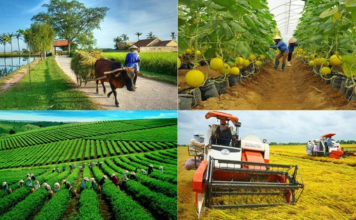 Phấn đấu hỗ trợ 25.000 doanh nghiệp, hộ kinh doanh, hợp tác xã kinh doanh bền vững