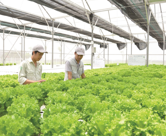 Doanh nghiệp nông nghiệp “khát” tín dụng xanh