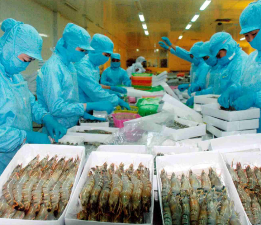 132 doanh nghiệp Việt xuất khẩu tôm vào Hoa Kỳ chịu mức thuế 25,76%