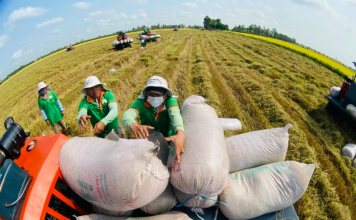Gạo Việt duy trì lợi thế trên thị trường xuất khẩu