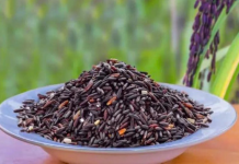 Giống lúa mì tím mở ra hướng nâng cao giá trị dinh dưỡng cho sản phẩm từ lúa mì
