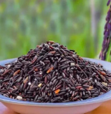 Giống lúa mì tím mở ra hướng nâng cao giá trị dinh dưỡng cho sản phẩm từ lúa mì