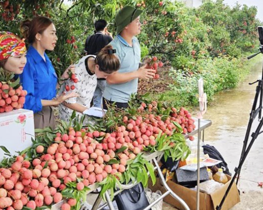 Thương mại điện tử mở đường mới cho chuỗi giá trị nông sản