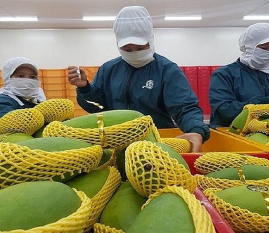 5 tháng xuất khẩu rau quả đạt gần 3 tỷ USD