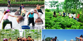 Tạo sinh kế bền vững từ phát triển du lịch nông thôn