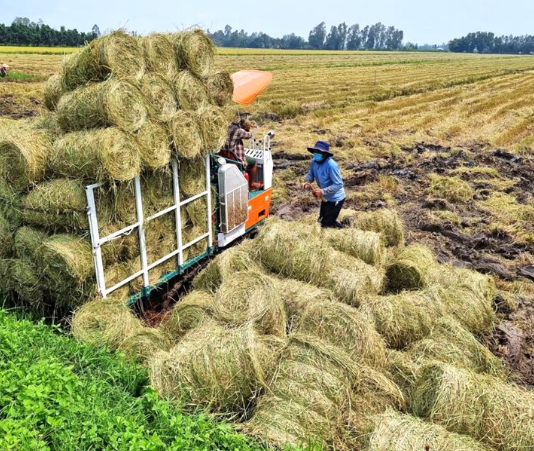 Từ phụ phẩm thành tiền tỷ: Doanh nghiệp nhỏ làm chủ cuộc chơi nông nghiệp tuần hoàn