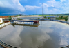 21 ngày ‘hồi sinh’ từng giọt nước thải ở trang trại bò sữa TH