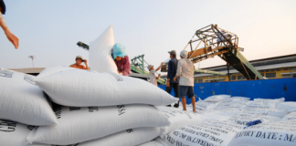 Xuất khẩu gạo 6 tháng đạt khoảng 5 triệu tấn