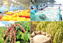 Xuất khẩu nông, lâm, thủy sản tăng hơn 10% so với cùng kỳ