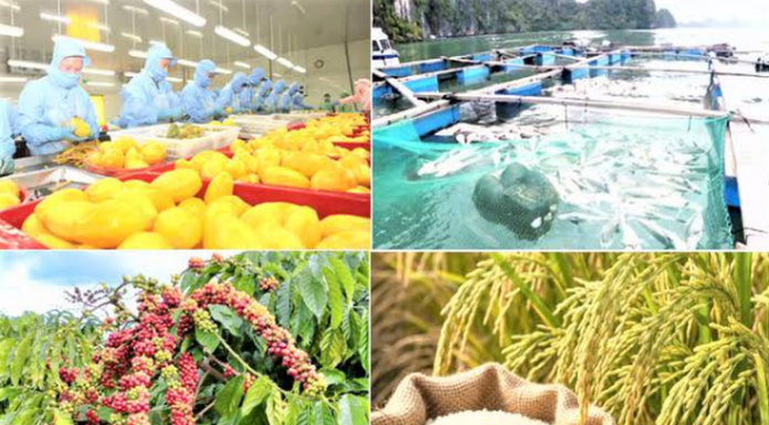 Xuất khẩu nông, lâm, thủy sản tăng hơn 10% so với cùng kỳ