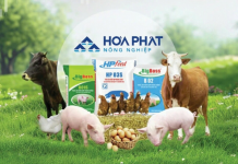 Khi những “trang trại công nghiệp” đang từng bước định hình hệ sinh thái nông nghiệp