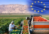 10 sự thật thú vị về nền nông nghiệp Israel và liên hệ thực tiễn với Việt Nam