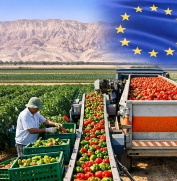 10 sự thật thú vị về nền nông nghiệp Israel và liên hệ thực tiễn với Việt Nam